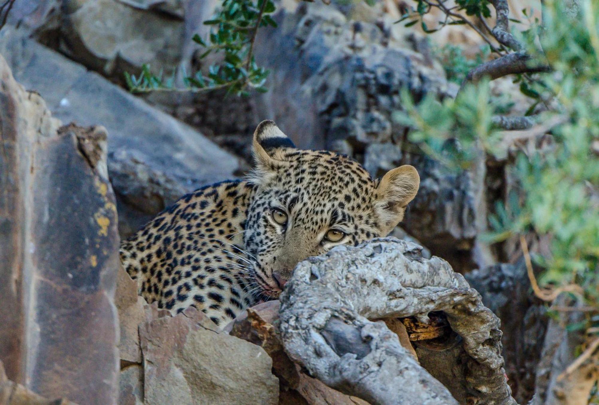 Kwandwe Private Game Reserve - Great Fish River Lodge 格拉罕镇 外观 照片