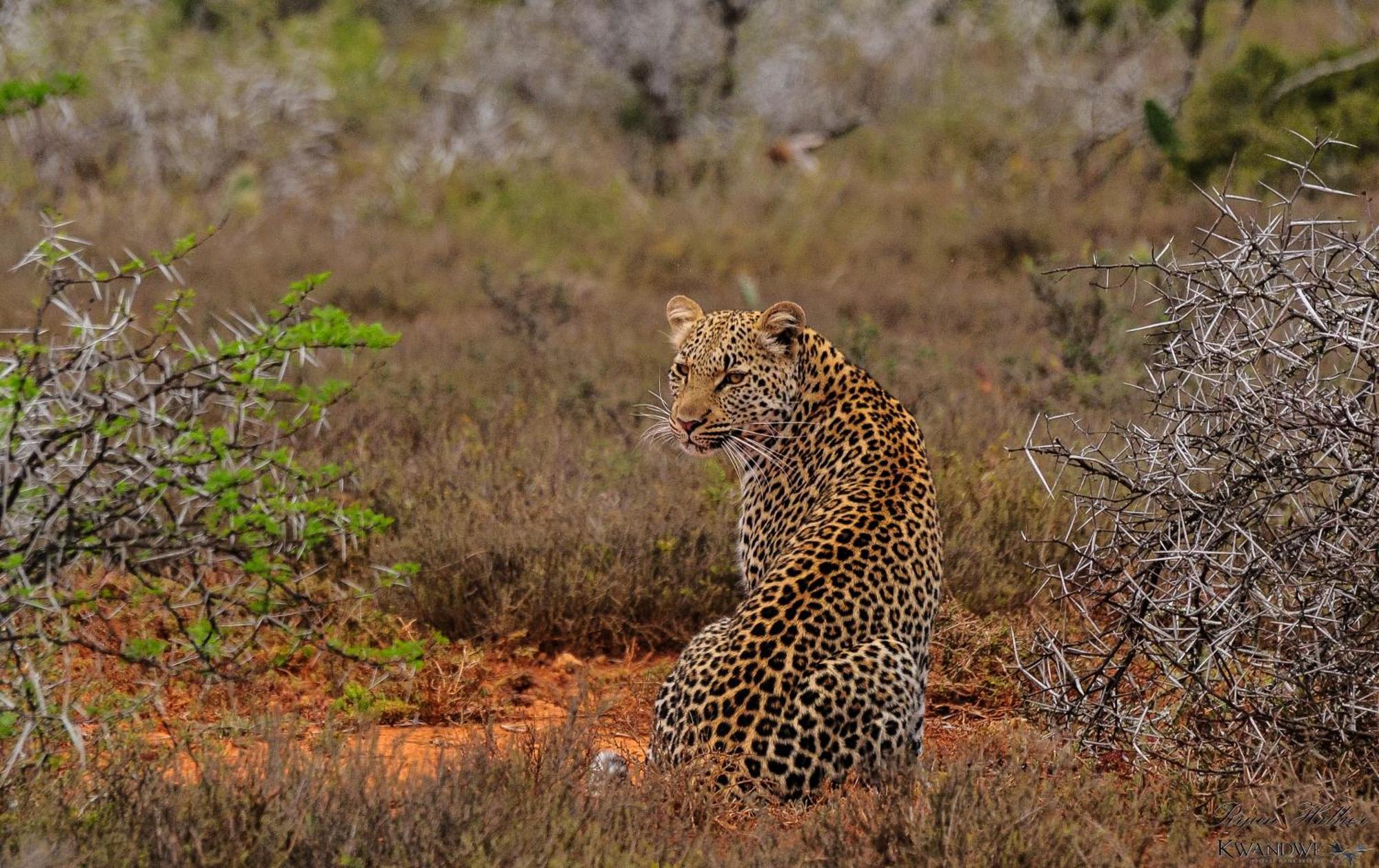 Kwandwe Private Game Reserve - Great Fish River Lodge 格拉罕镇 外观 照片