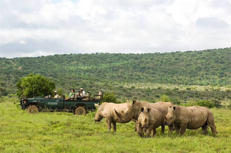 Kwandwe Private Game Reserve - Great Fish River Lodge 格拉罕镇 外观 照片