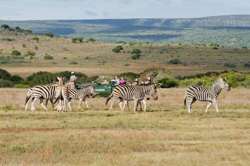 Kwandwe Private Game Reserve - Great Fish River Lodge 格拉罕镇 外观 照片