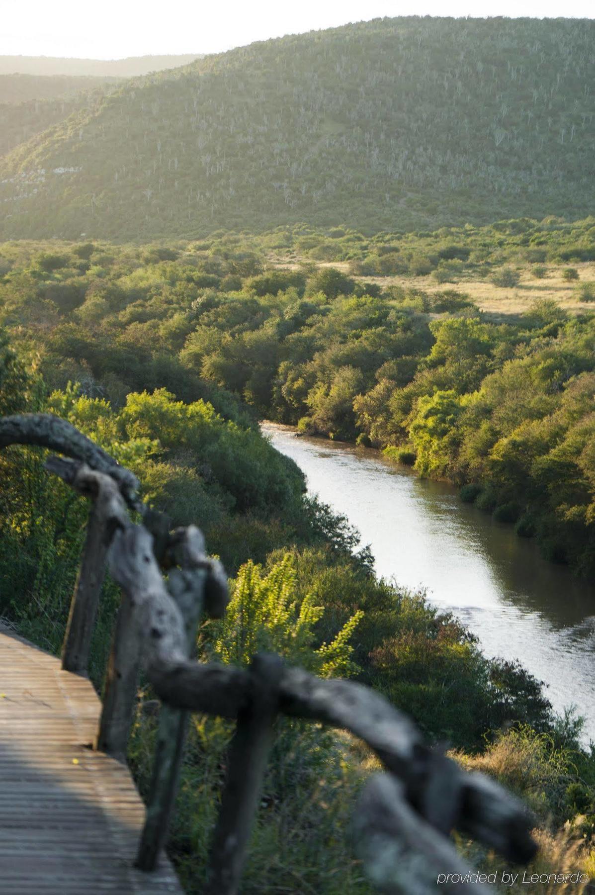 Kwandwe Private Game Reserve - Great Fish River Lodge 格拉罕镇 外观 照片